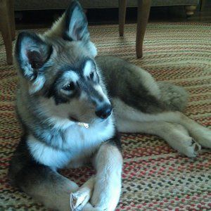 Meet your Posher, Tracey